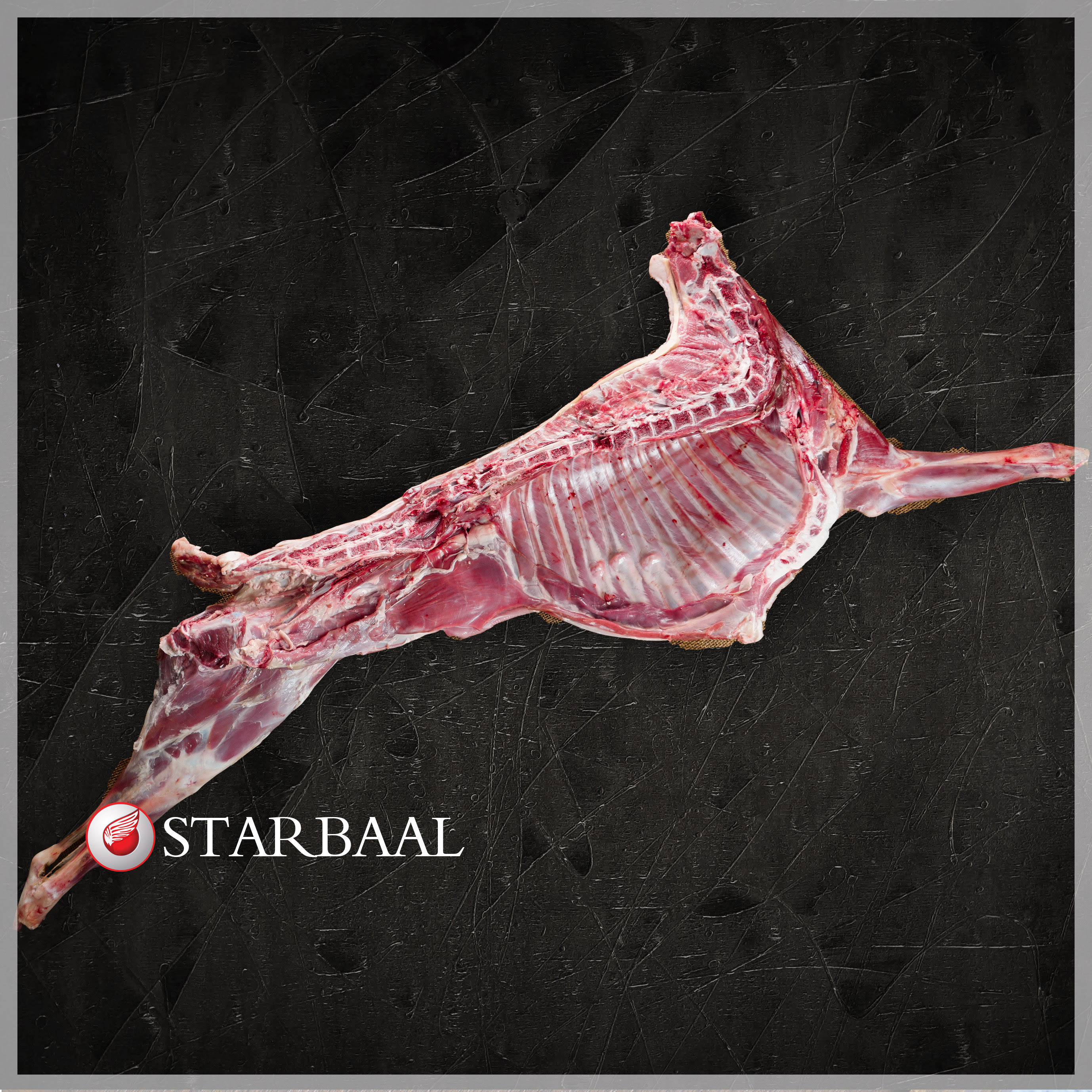 شقه گوسفندی